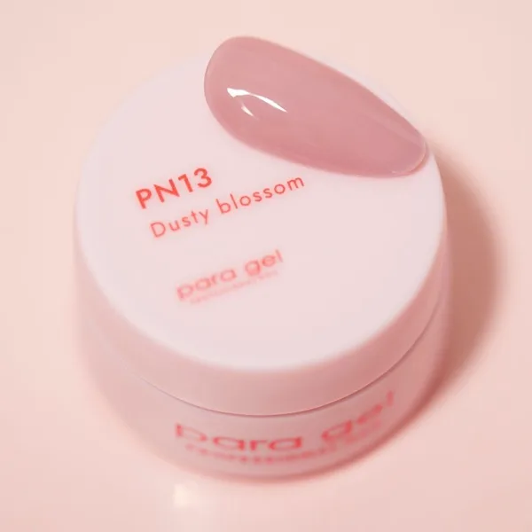 PN13 ダスティブロッサム